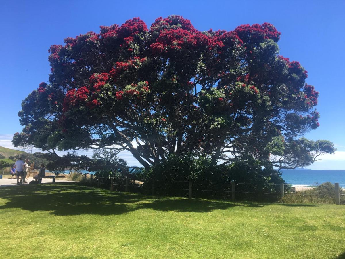 Beach Break Escape 226 Mount Maunganui Zewnętrze zdjęcie